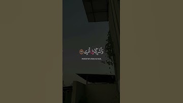 قَالَ رَبِّ اشْرَحْ لِي صَدْرِي وَيَسِّرْ لِي أَمْرِي .... تلاوة مريحة بصوت القارئ يوسف عثمان 💗🌿