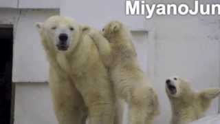 Lara's Children ~Up Tempo Version take 2~