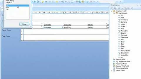 Crystal Reports 2008 Training - Browsing the Data