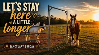 Sanctuary Sunday
