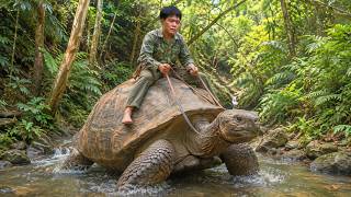 Primitive Wilderness Survival | Trapping Wild Animals and Discovering a Giant Turtle