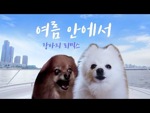 싹쓰리(SSAK3) - 여름 안에서 강아지 리믹스 (듀스 여름안에서)