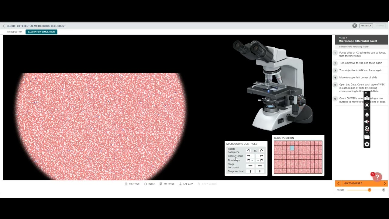 Blood Differential Simulation - YouTube