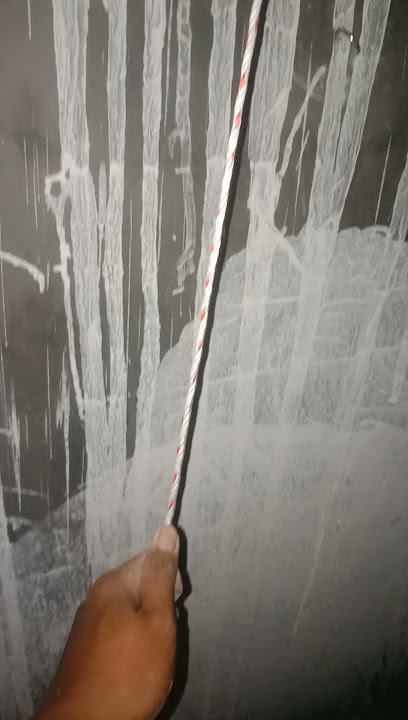 Tunnel Door Sistem Bagi 2 kandang Close House