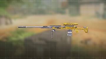 Slowest DLQ33 Gunsmith Ever!