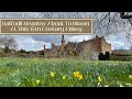 My english country life in march  daffodil meadow at felley priory  uk travel ep 21