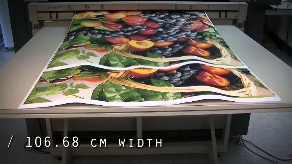 Vortex 4200 Graphics