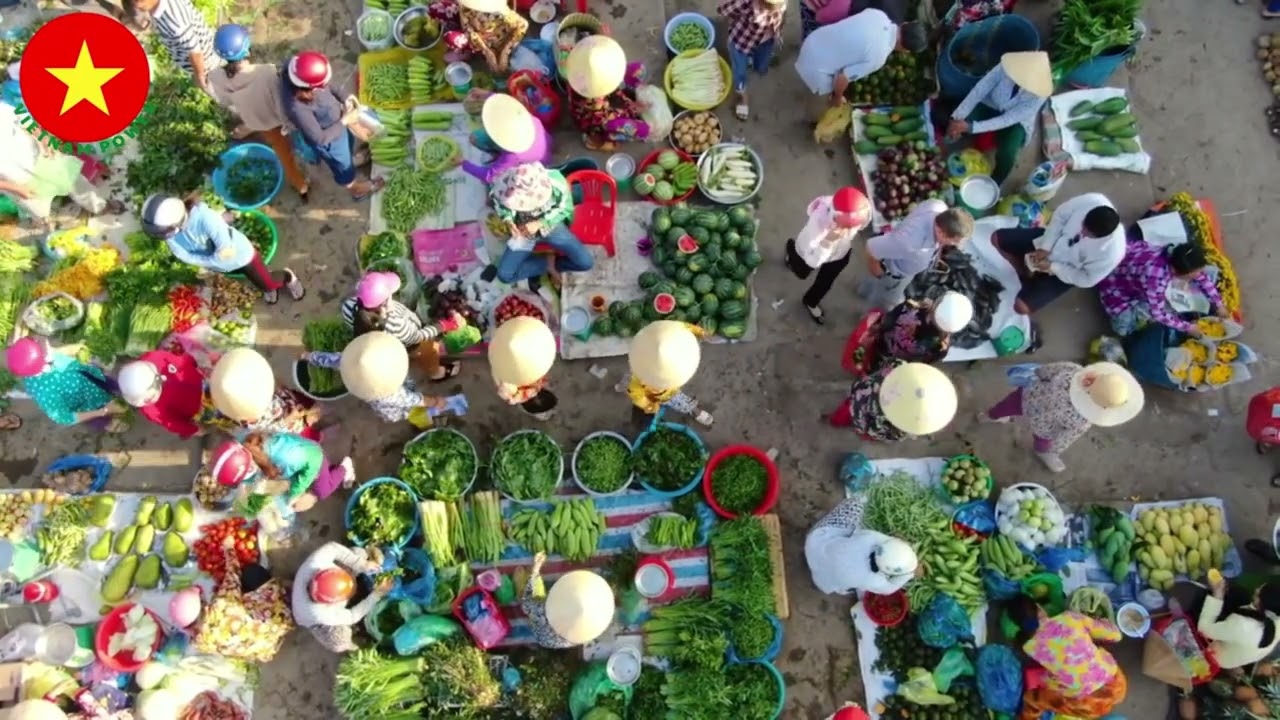 Nhạc Quê Hương Không Lời Miền Tây | Ký Ức Miền Tây @MusicStoreVN