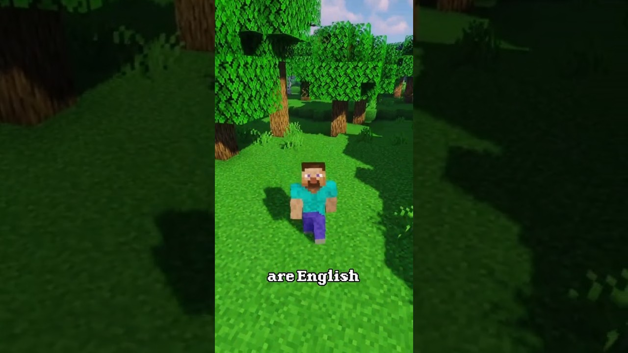 Did you know Minecraft has a SECRET language?! 👀