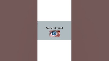 Riddles |funny riddles |#funnyriddles #riddles #quiz