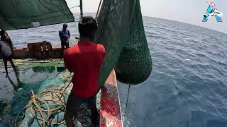 Trawling Boat lot of fish Catch in deep sea | Fish Videos @KadalTv