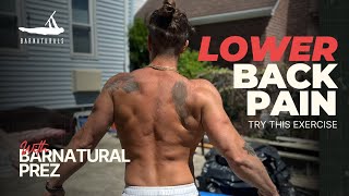 LOW BACK PAIN ?.... DO THIS !!! | THE BEST AT HOME EXERCISE TO STRENGTHEN & HEAL YOUR LOWER BACK