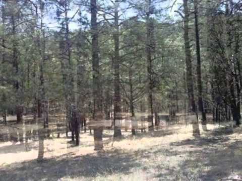 206 Del Monte Dr, Alto, NM home video tour