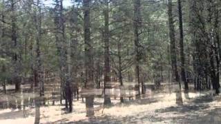 206 Del Monte Dr video tour
