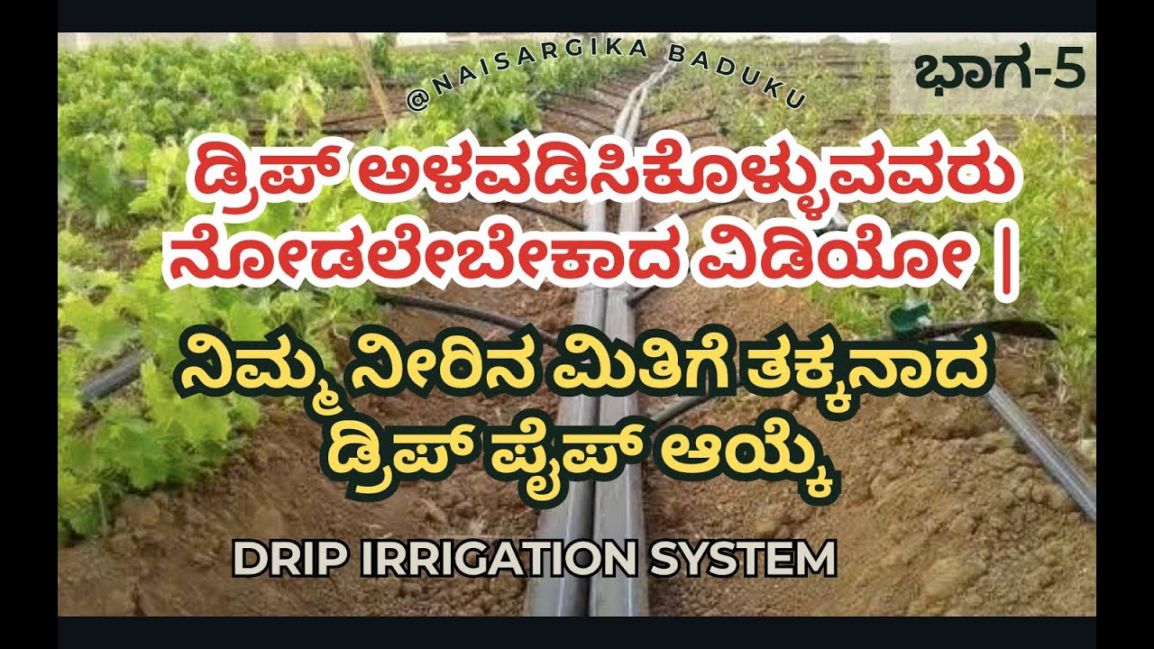 ಡ್ರಿಪ್ ಅಳವಡಿಸಿಕೊಳ್ಳುವವರು ನೋಡಲೇಬೇಕಾದ ವಿಡಿಯೋ | ನಿಮ್ಮ ನೀರಿನ ಮಿತಿಗೆ ತಕ್ಕನಾದ ಡ್ರಿಪ್ ಪೈಪ್ ಆಯ್ಕೆ Drip