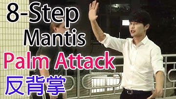 Eight-Step Praying Mantis Kung Fu /  Palm Attack / Leon Chu (朱思勳)