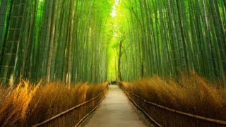 Tea/Giveaway/Earth Live Chat