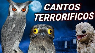 7 AVES con CANTOS ATERRADORES | Sonidos TENEBROSOS! 😨 y Extraños de aves ¡Que POCA GENTE CONOCE!