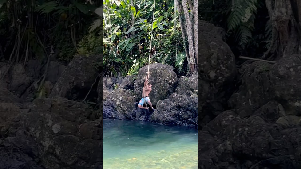 🇵🇷El Yunque: Puerto Rico’s tropical paradise 