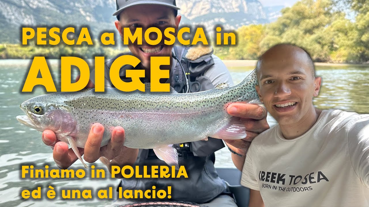 6 Ninfa Personalizzata Irideus Salmons Legacy – Pesca A Mosca Per Trota E Steelhead (Amo 14)