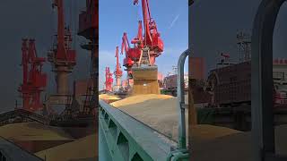 Why Ships Don’t Use Nets for Grain ⚓