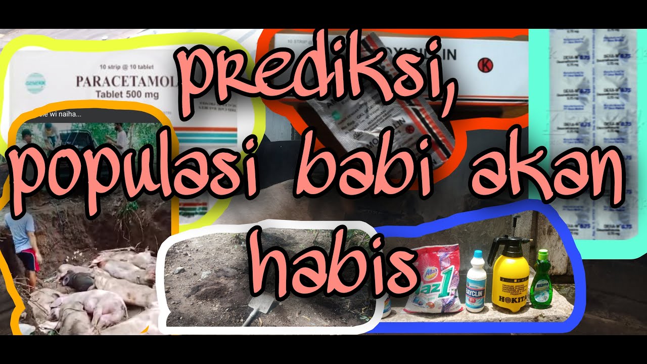 virus african swine fewer - cara mengobati virus ASF - cara memutuskan