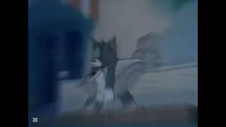 Ragga Siai fttomy4gunz Maria