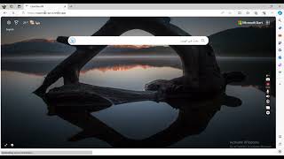 Responsive Countries API Project