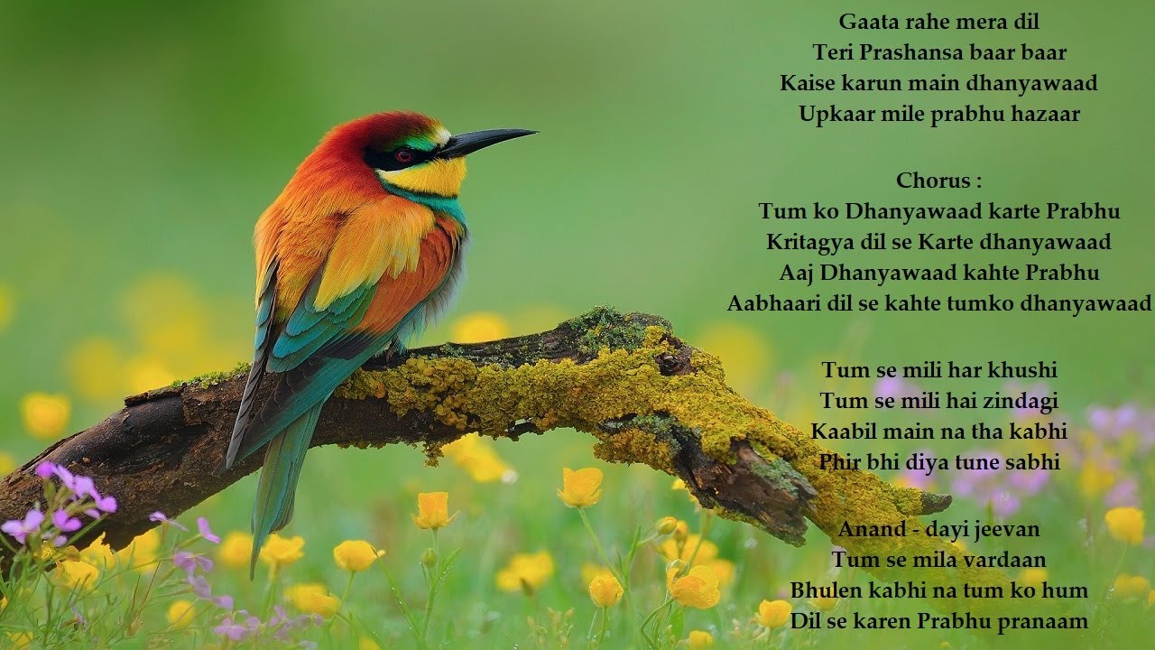 Tumko Dhanyawad Karte Prabhu Gaata Rahe Mera Dil       Hindi Worship Hymn