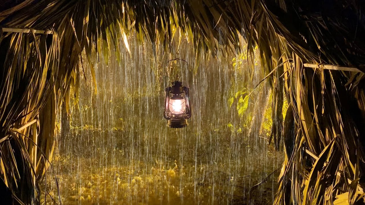 Спите мгновенно в пальмовом шатре под сильным дождем и ревущим громом в тропическом лесу ночью