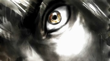 retropie splash screen street fighter i have something to say