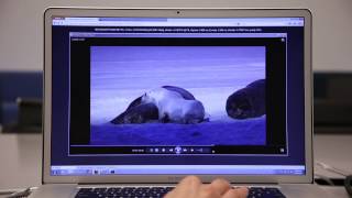 Firefox Video Encoding