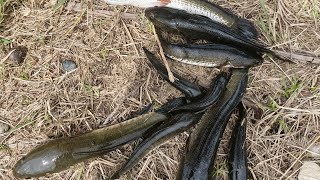 Ep109 fishing trip adventure