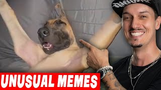 UNUSUAL MEMES COMPILATION V294 😂 - React