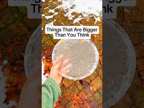 Things That Are Bigger Than You Think XXX TENTICION Ytshorts Viral Usa Uk 