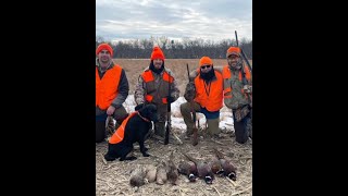 MUST SEE Illinois Pheasant Hunt | RKWild S2E1