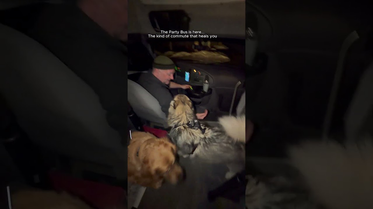 Автобус для вечеринок уже здесь... Такая поездка на работу, которая исцеляет.