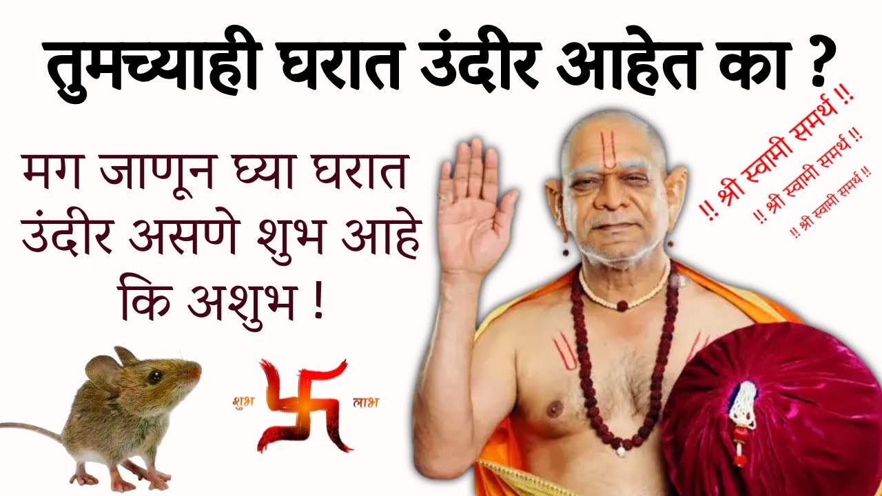 🙏🏻तुमच्याही घरात उंदीर आहेत का ?🙏🏻जाणून घ्या घरात उंदीर असणे शुभ आहे कि अशुभ💐shubh ki ashubh