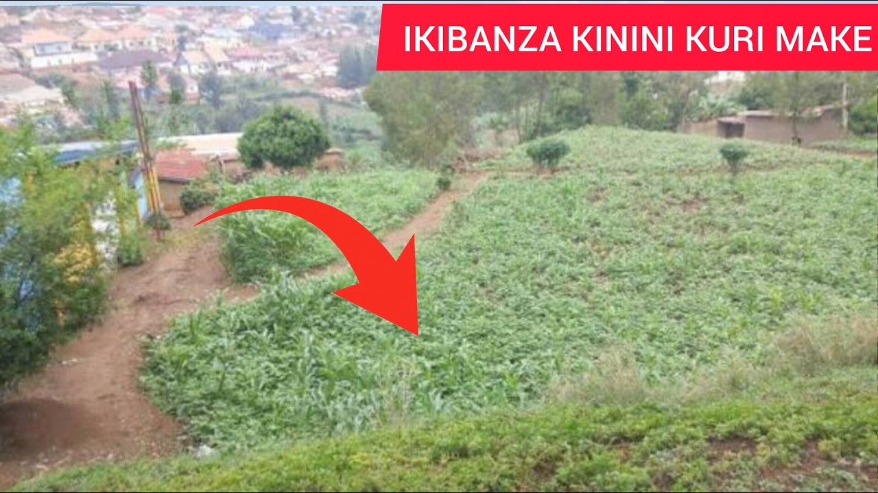 NICYO KIBANZA CYIZA GIHENDUTSE IKIGALI: KIBERANYE NUBUHINZI NUBWOROZI NGWINO WIGURIRE