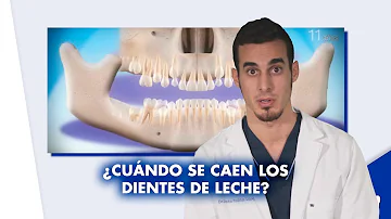 ¿A qué edad no se deben tener dientes de leche?