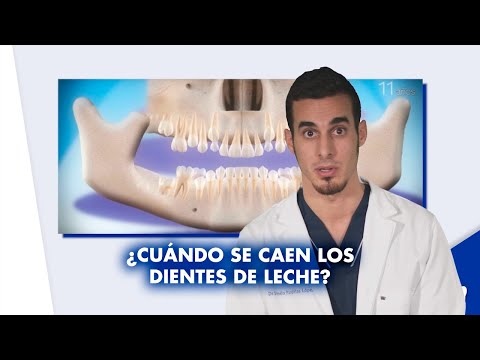 Video: ¿Se caen los dientes con la edad?