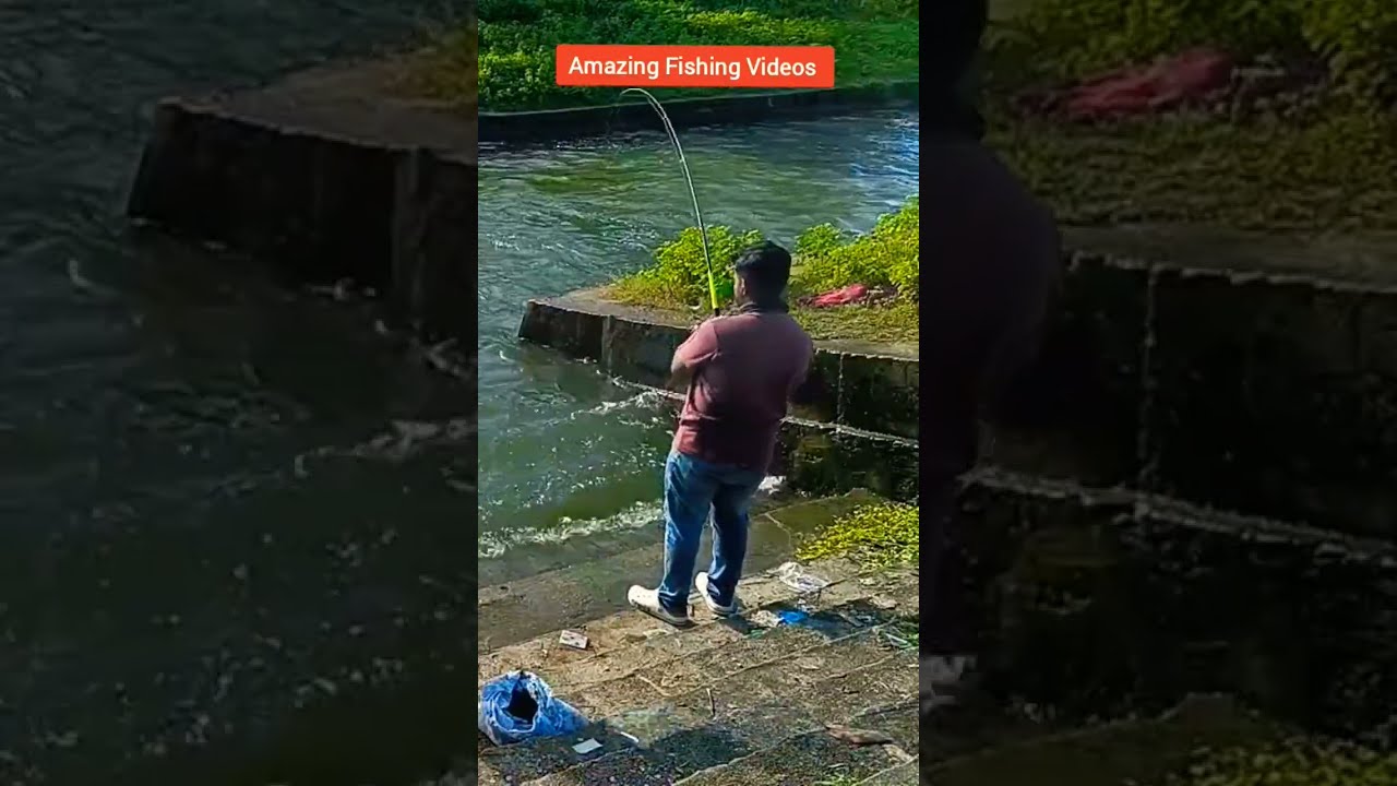Fishing tilapia Fishes in fishing reel rod by Deccan Shikari team at pochararam