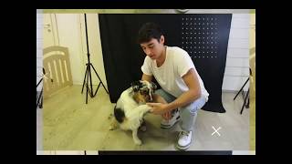 Video Backstage Casting&Shooting - Linea101Love For Pet