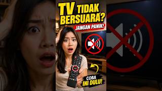 TV Tidak Ada Suara? Coba Ini Dulu!