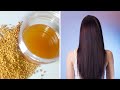 Fenugreek Oil for Hair growth