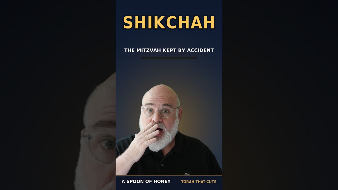 One Word That Changes Everything — Shikchah