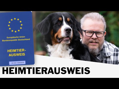 Video: Was Sie über Tierausweise und Mikrochips wissen sollten