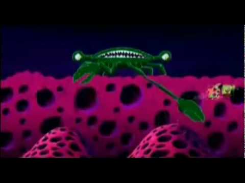 Spongebob Squarepants - Ja met een snor - YouTube