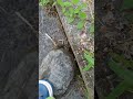 すっぽんぽん