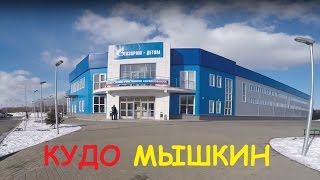 КУДО МЫШКИН